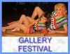 Gallery "Festival"